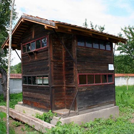 Transylvania Guesthouses Kissink Kültér fotó