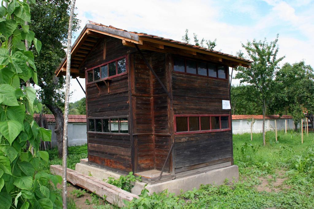 Transylvania Guesthouses Kissink Kültér fotó