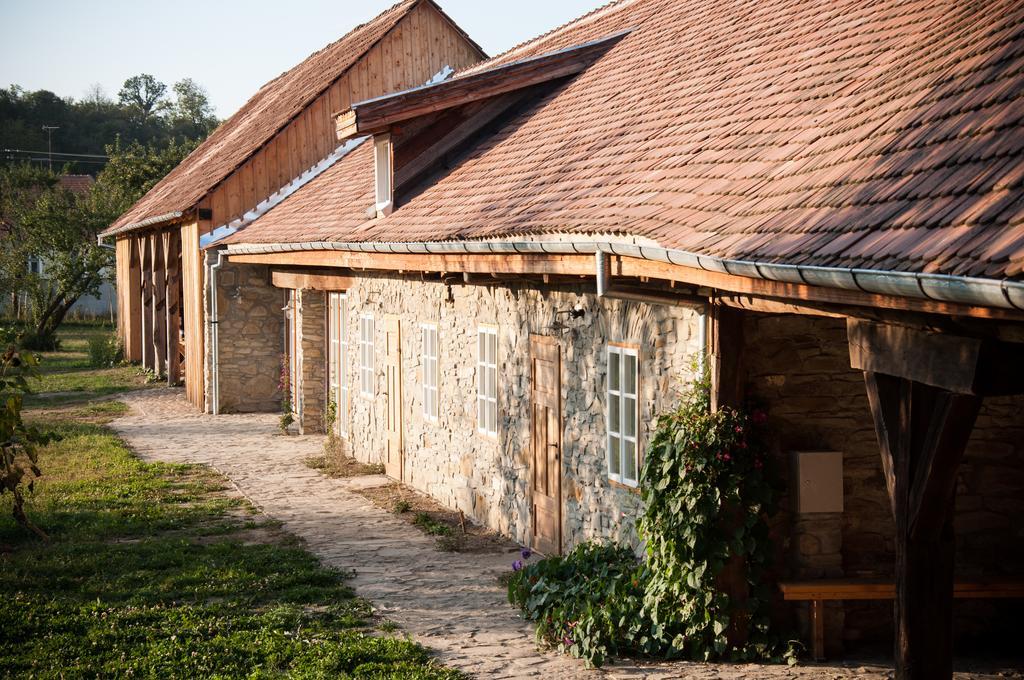 Transylvania Guesthouses Kissink Kültér fotó
