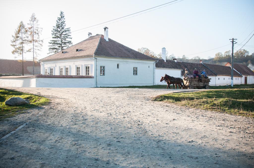 Transylvania Guesthouses Kissink Kültér fotó