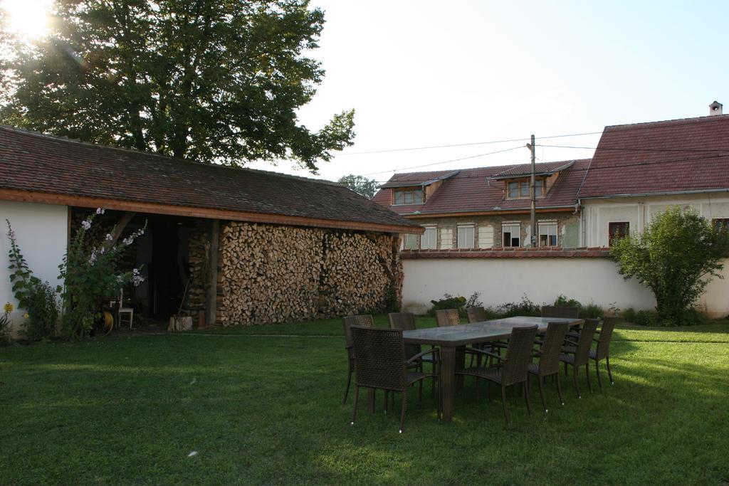 Transylvania Guesthouses Kissink Kültér fotó