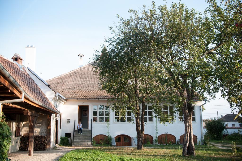 Transylvania Guesthouses Kissink Kültér fotó
